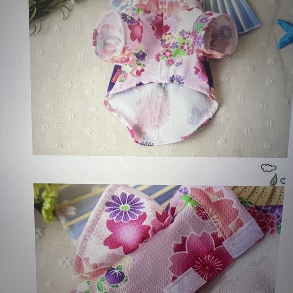 Kimono for dogs - Picture 3 of 5